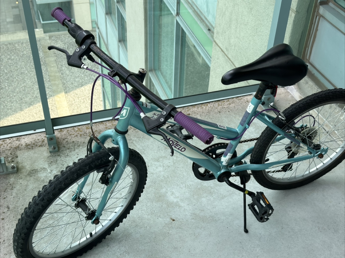 Movelo Algonquin Bicycle