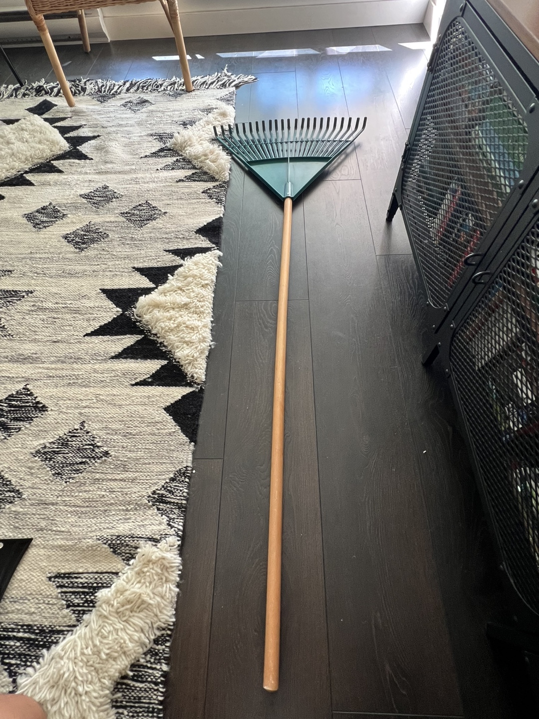 Green Rake - photo 2