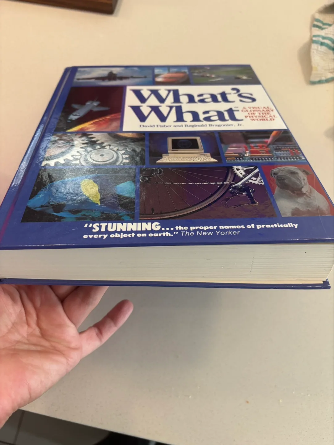 What's What - A Visual Glossary Book image indicator(2)