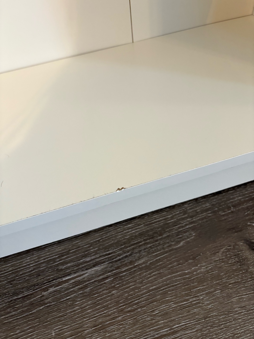 IKEA GERSBY White Bookshelf - photo 4