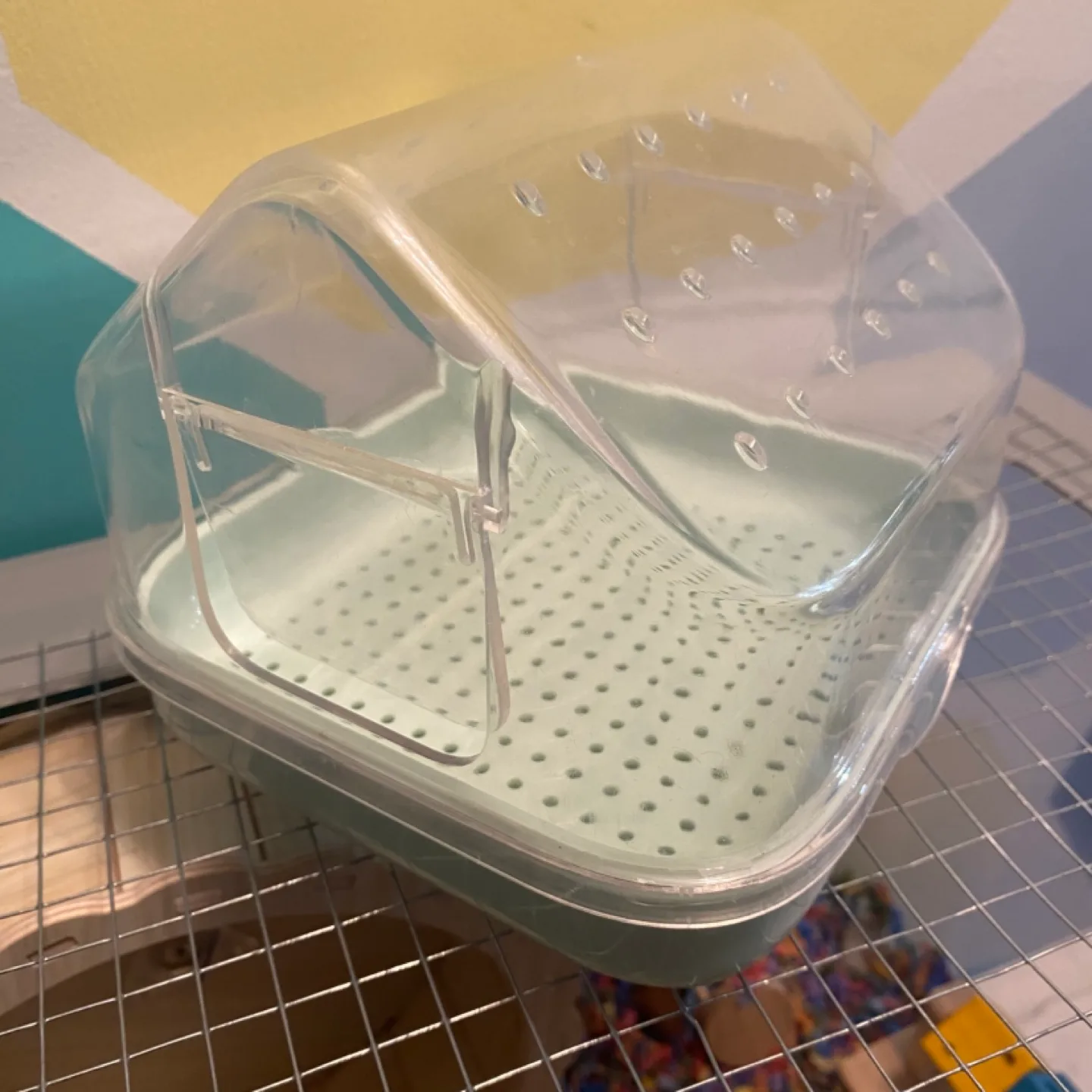 Hamster Dust Bath image indicator(3)