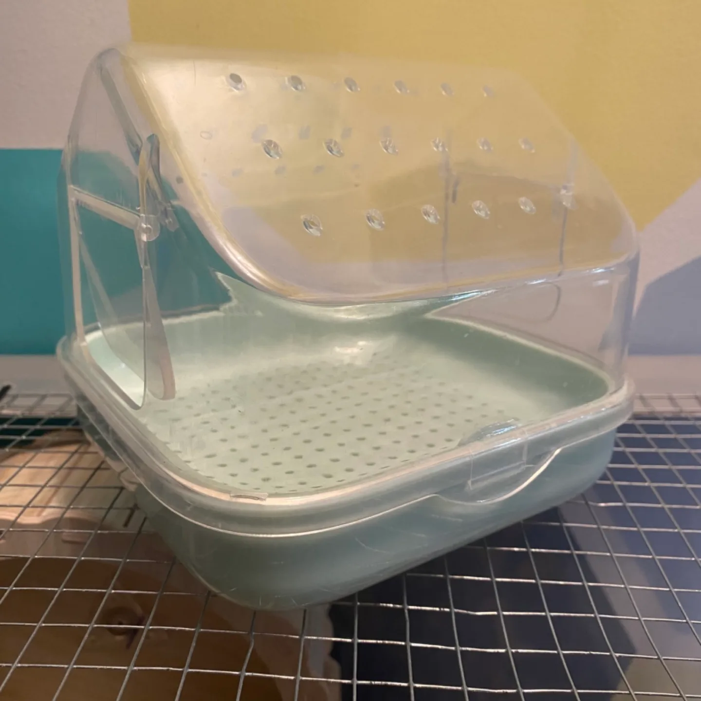 Hamster Dust Bath image indicator(2)