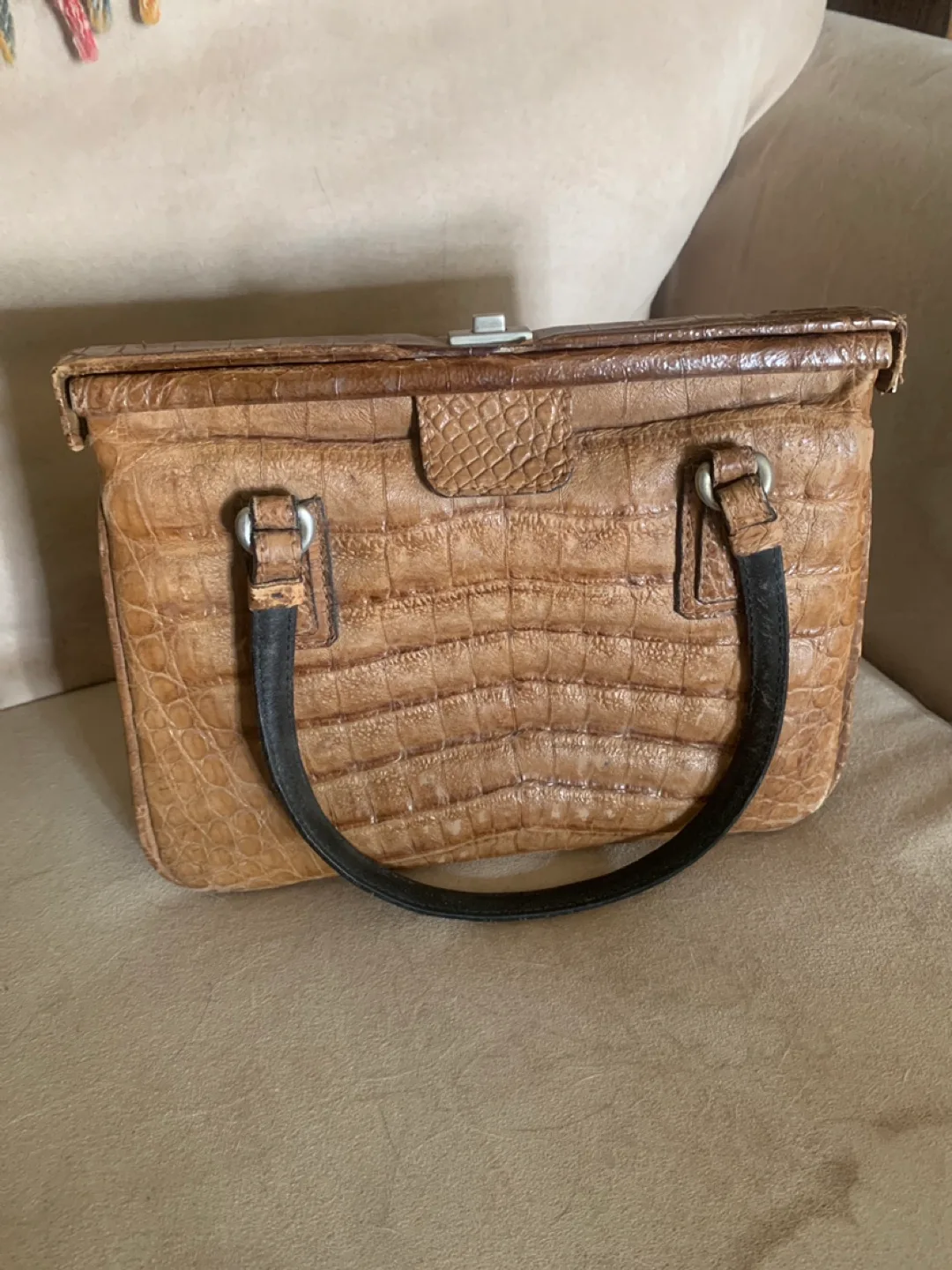 Jaguar Genuine Leather interior, Alligator Skin Purse