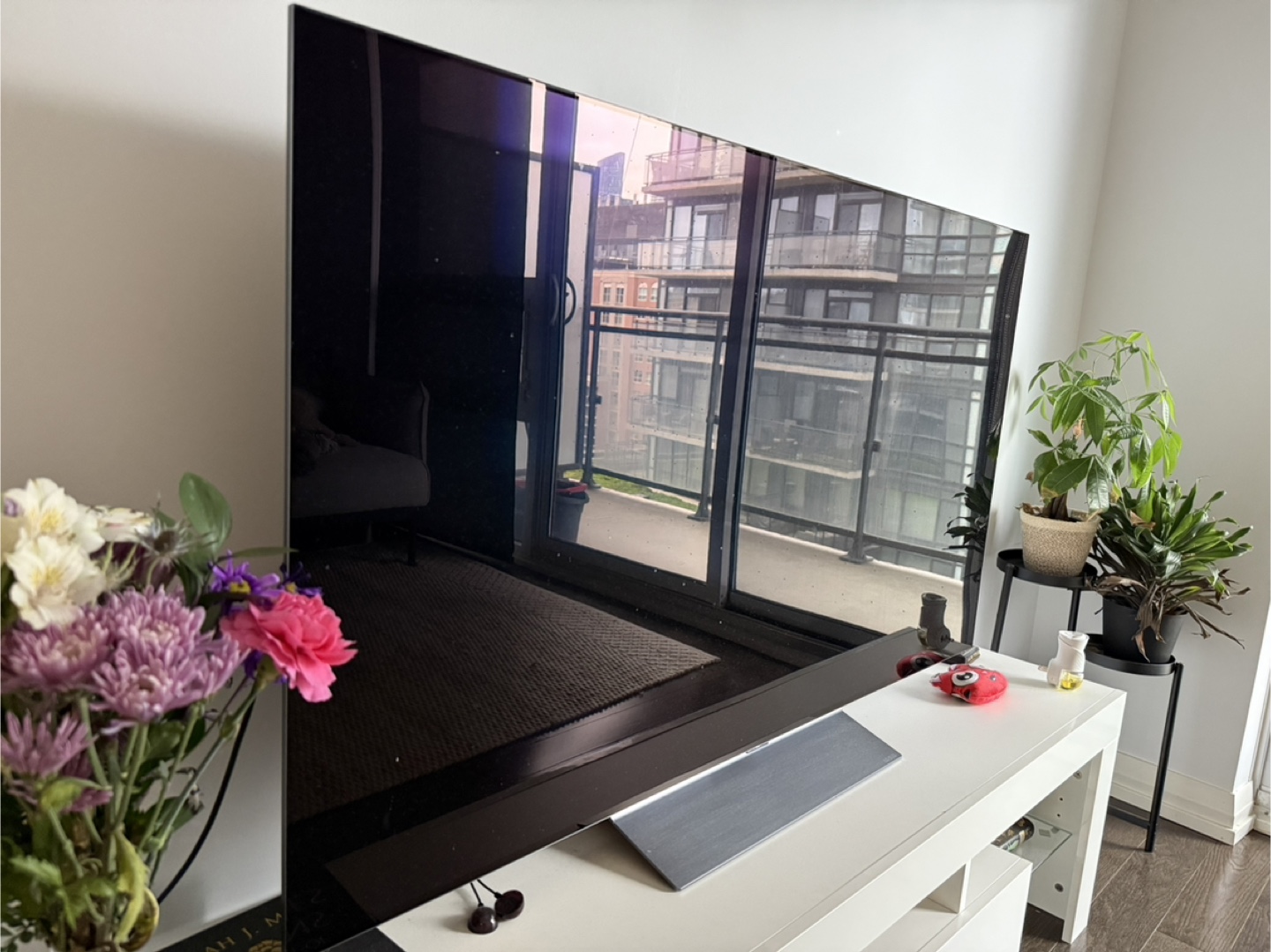 Large Screen TV