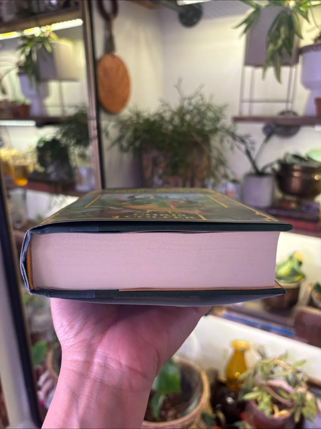 The Land of Stories: The Wishing Spell Book image indicator(2)