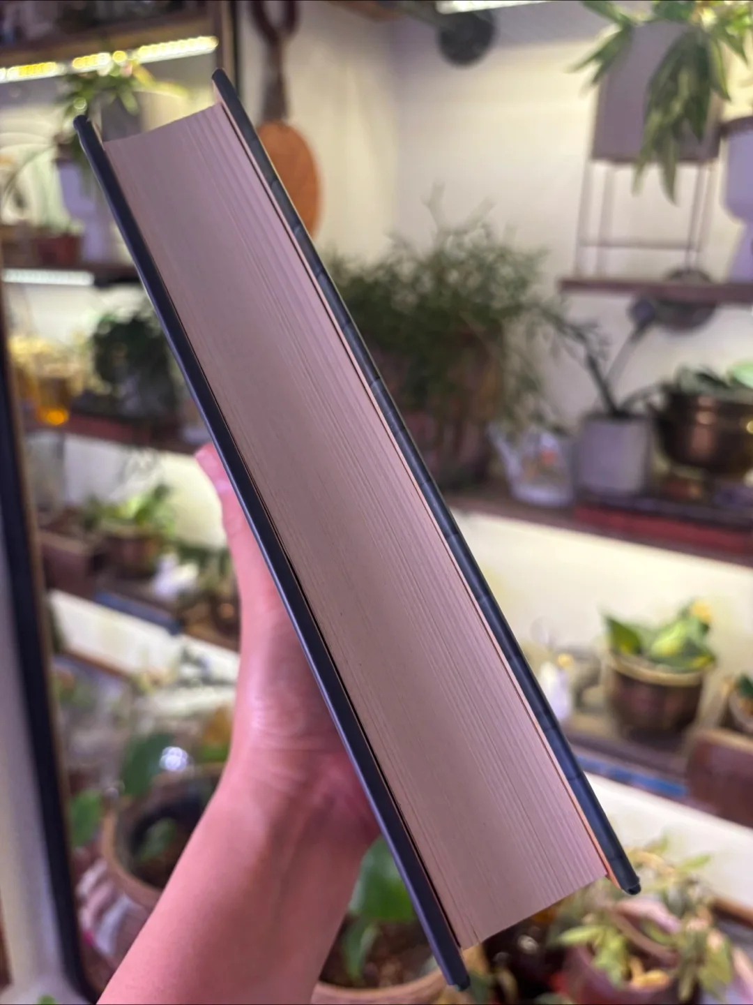 The Land of Stories: The Wishing Spell Book image indicator(3)