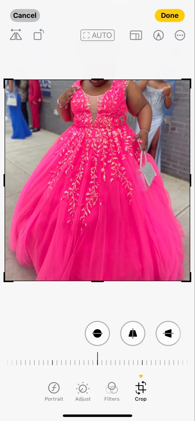 Bright Pink Formal Ball Gown image indicator(4)