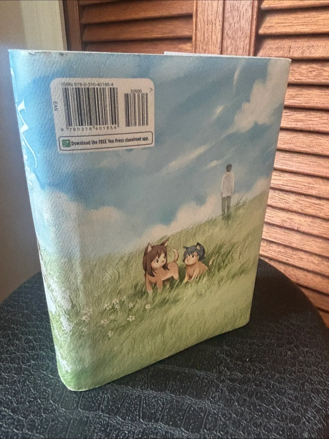 Wolf Children: Ame & Yuki Manga image indicator(3)