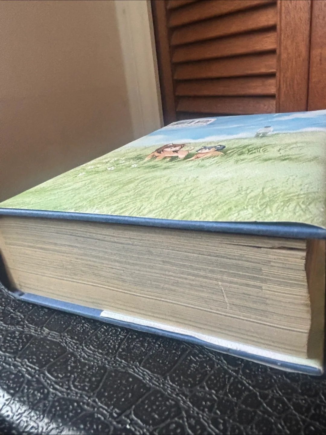 Wolf Children: Ame & Yuki Manga image indicator(4)