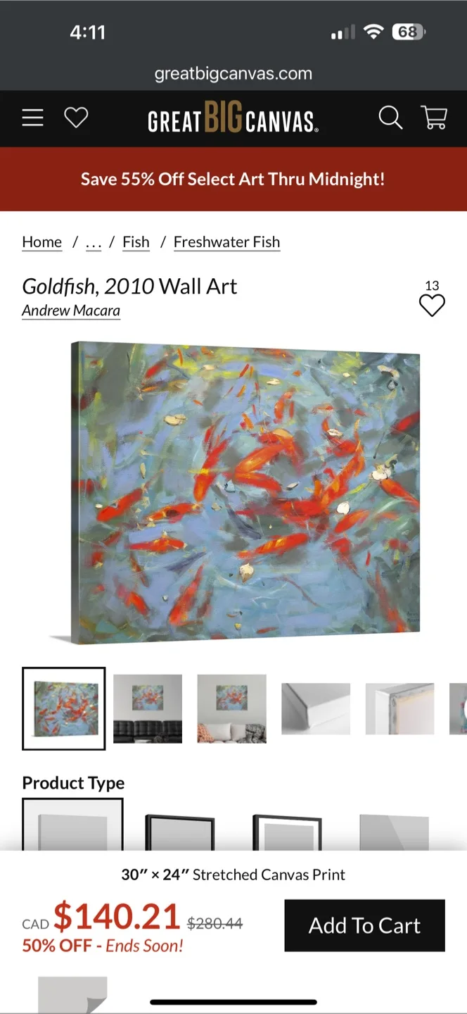 Goldfish Wall Art - Large Stretched Canvas thumbnail