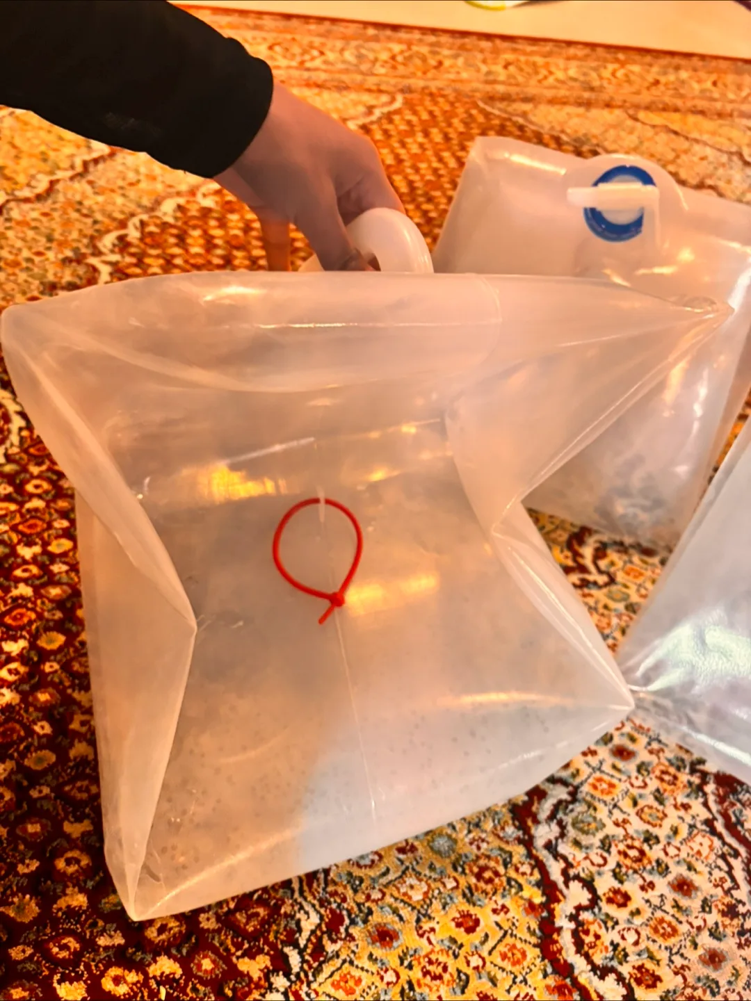 Collapsible Water Jugs - 3-Pack image indicator(2)