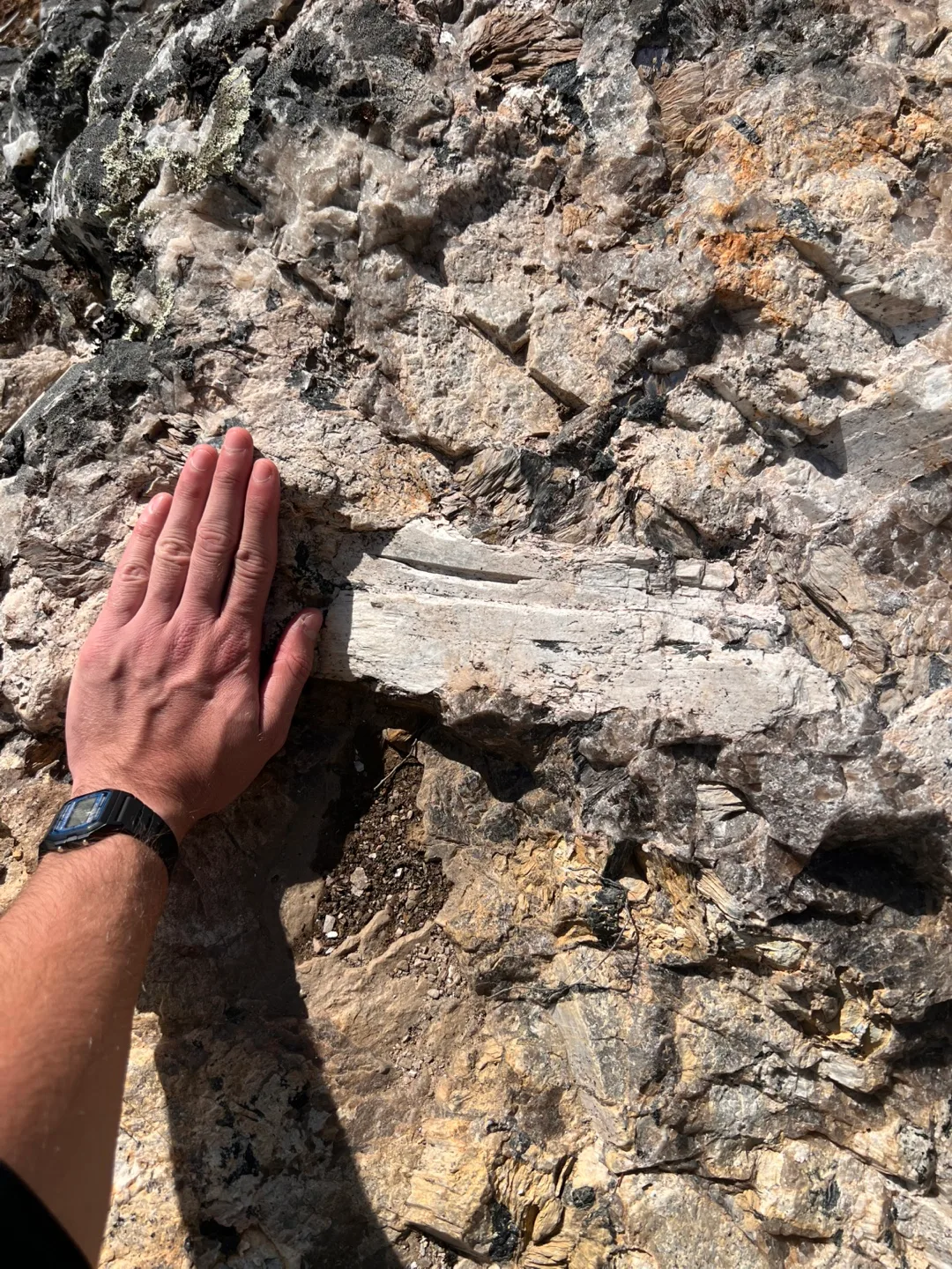 Chunk of Lithium from the Largest Resource in the Americas image indicator(6)