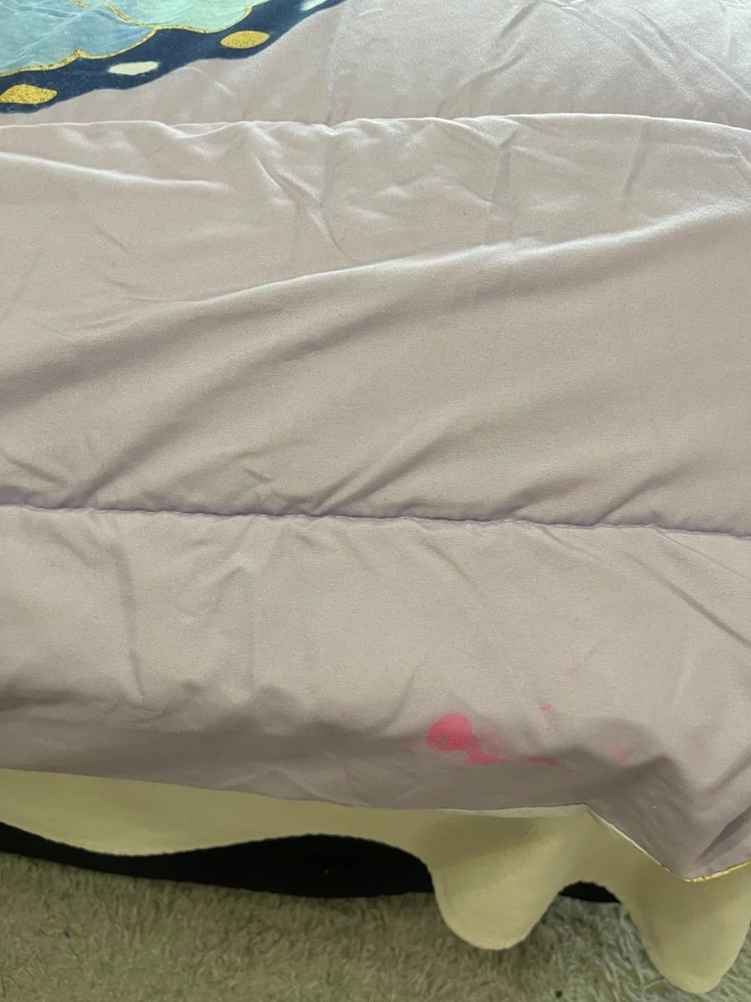 Twin Butterfly comforter and Pillow-Please read image indicator(3)