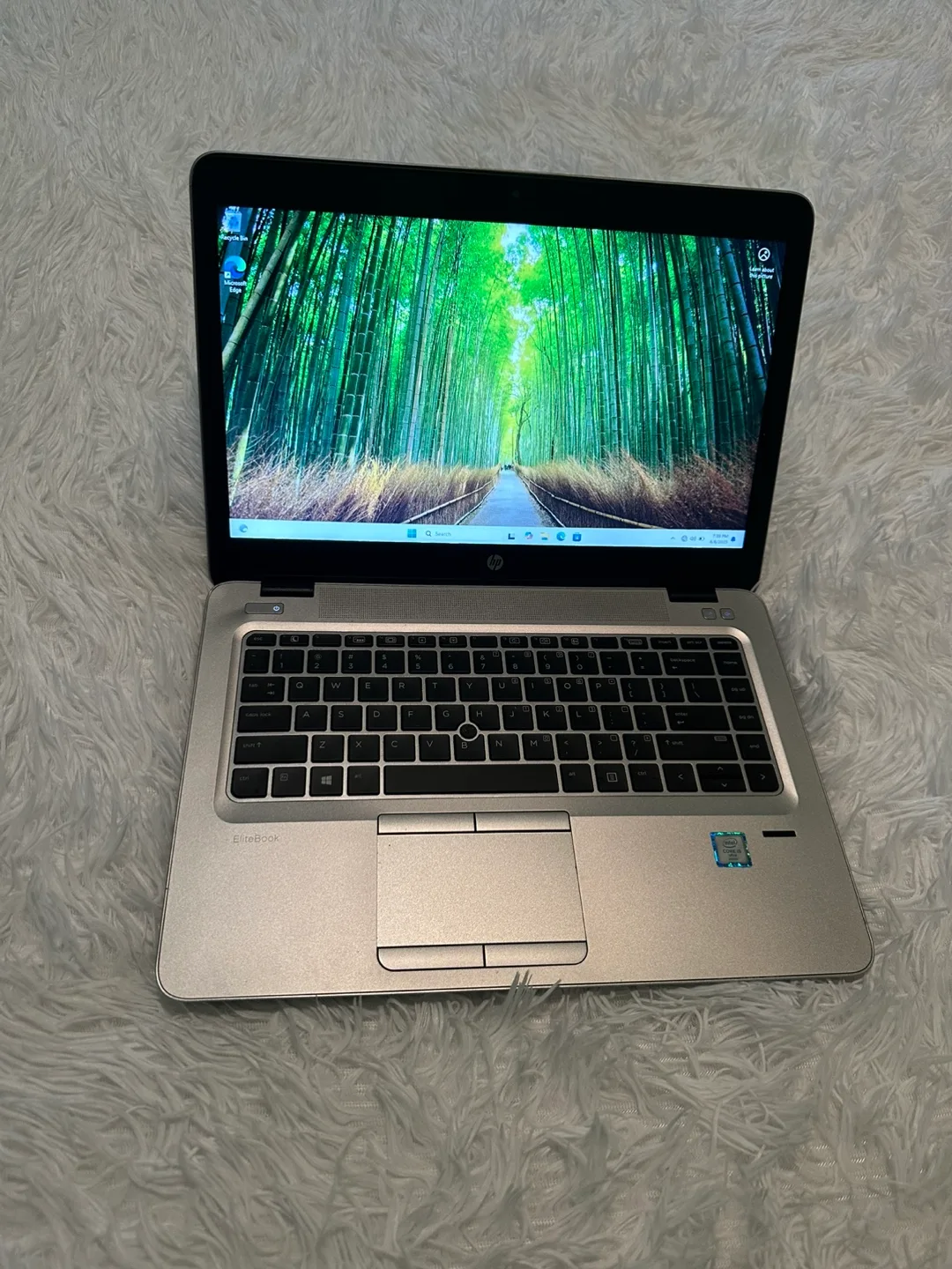 HP Laptop image indicator(2)