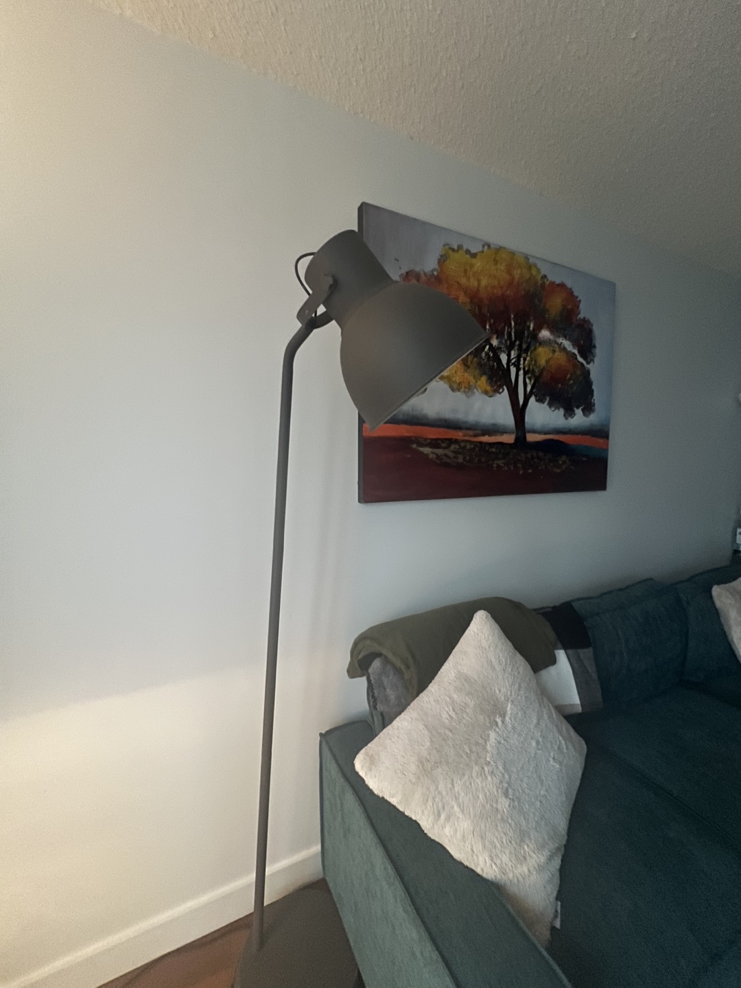 Dark Gray Floor Lamp - photo 4