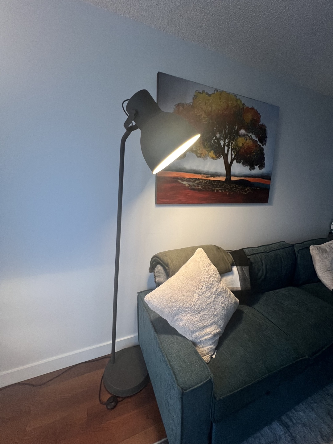 Dark Gray Floor Lamp