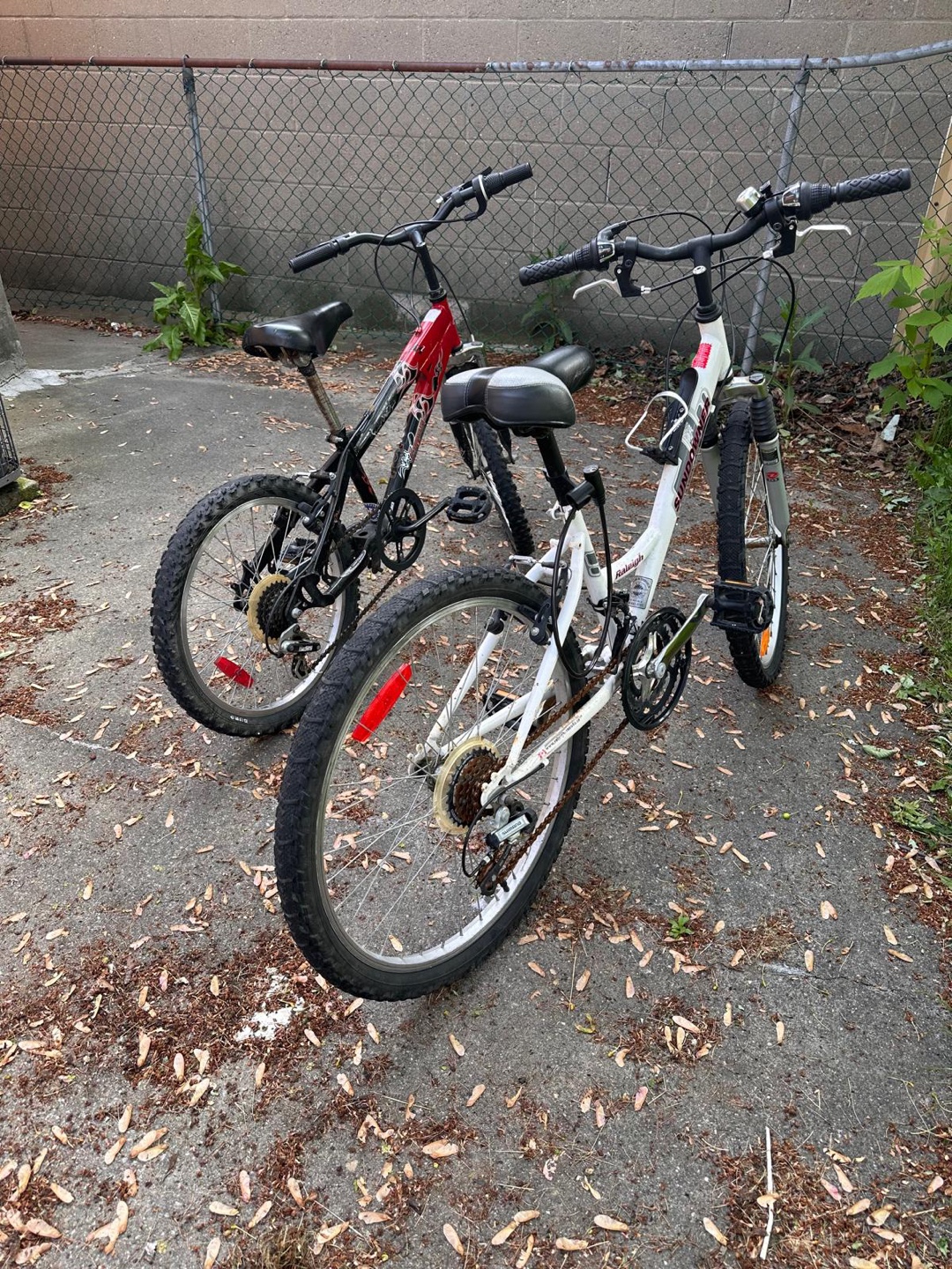 Raleigh Sundowner Mountain Bike