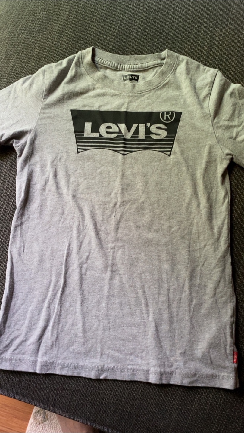 Levi's shirt, U.S. Polo Shirt, and Western T-shirt - photo 4