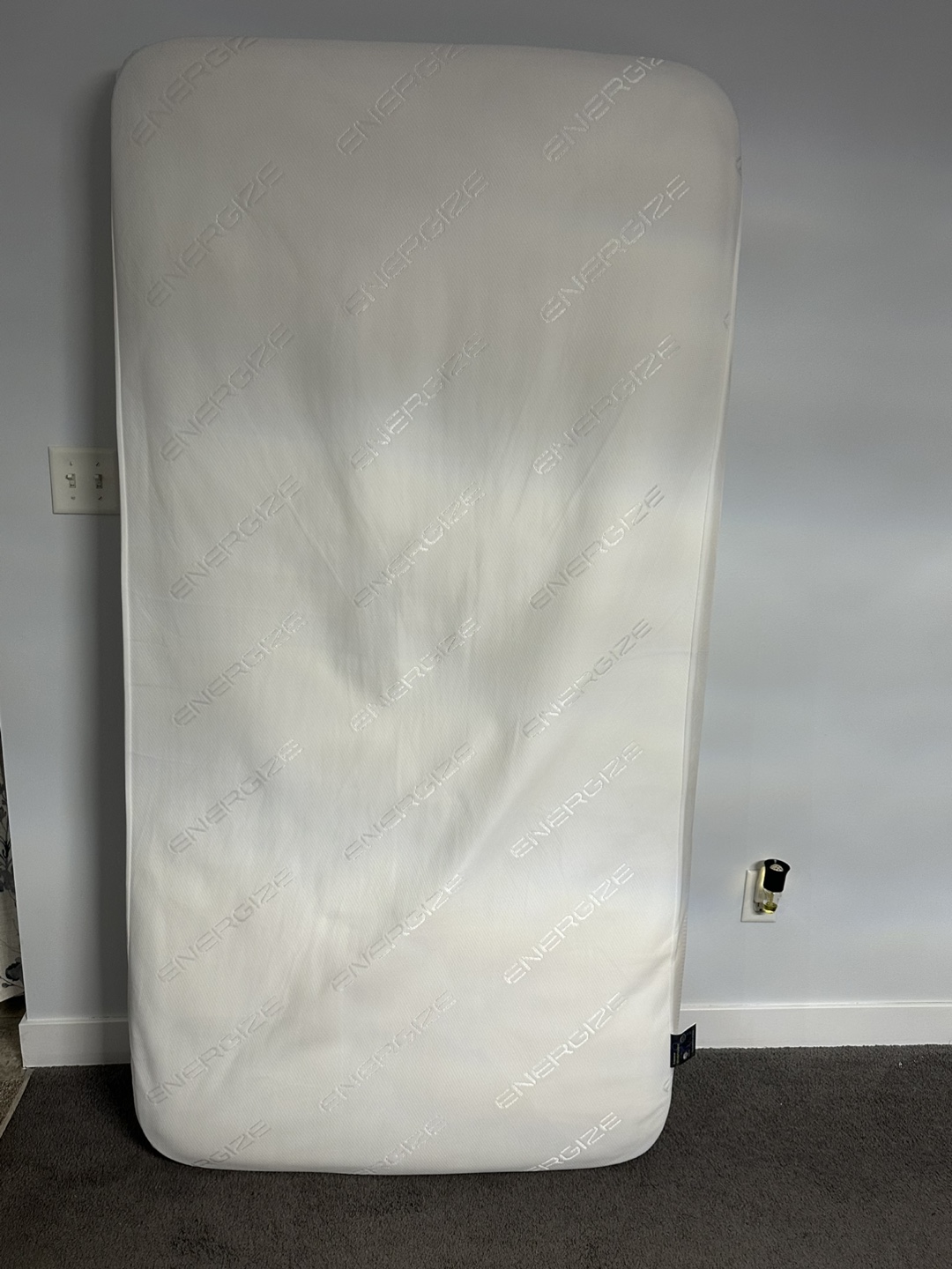 Free Twin Mattress along with mattress cover
