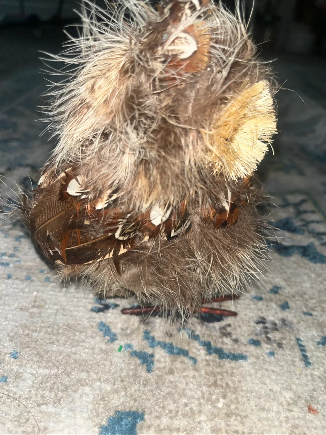 Feathered Owl Decoration image indicator(3)