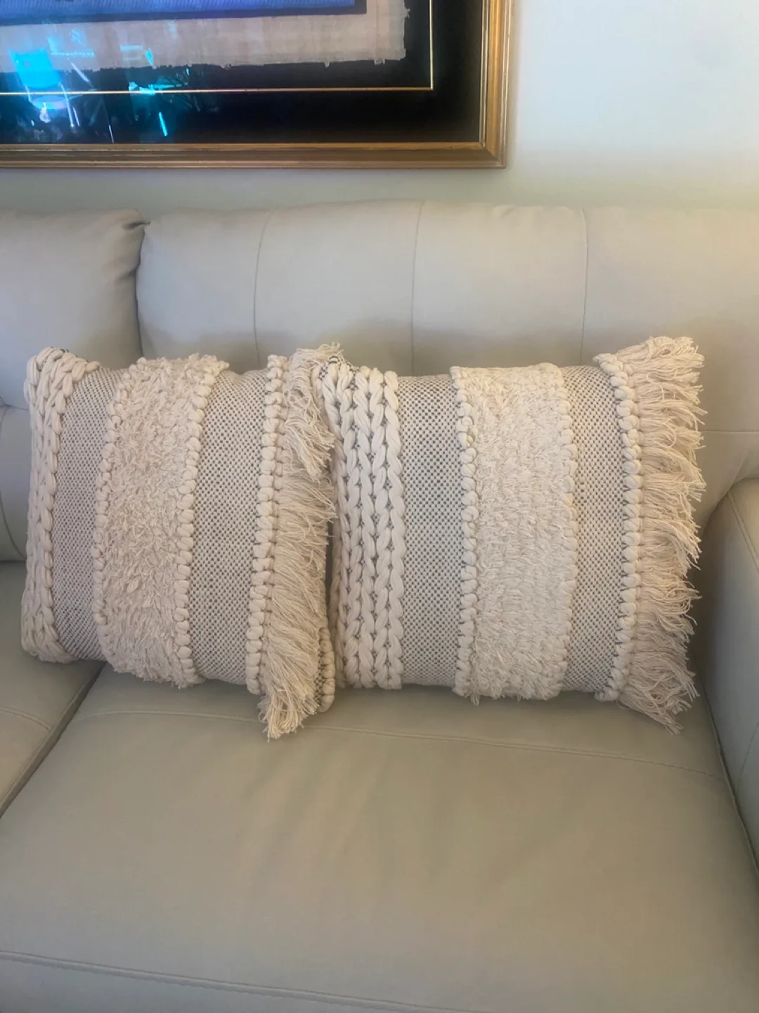 Pair of Decorative Throw Pillows image indicator(4)