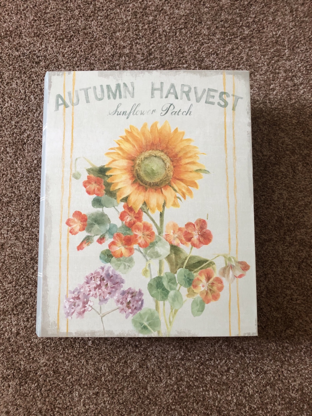Book-style storage box