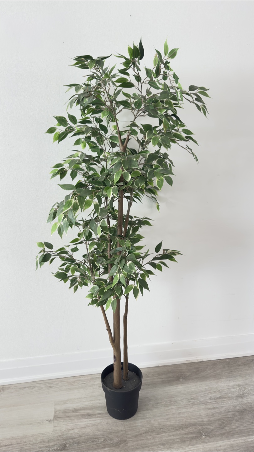 Artificial Ficus Tree