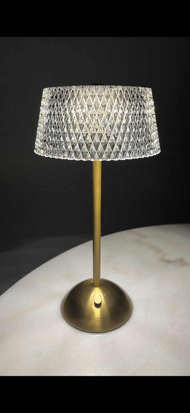 Decorative LED Table Lamp