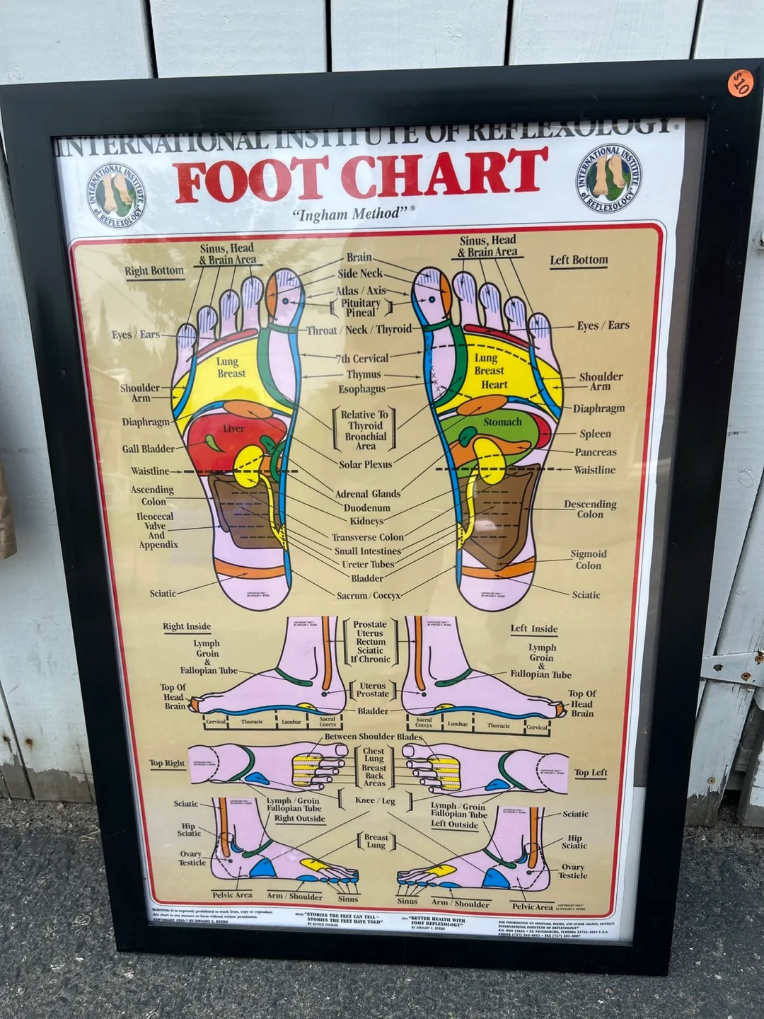 Foot Chart Ingham Method Reflexology thumbnail