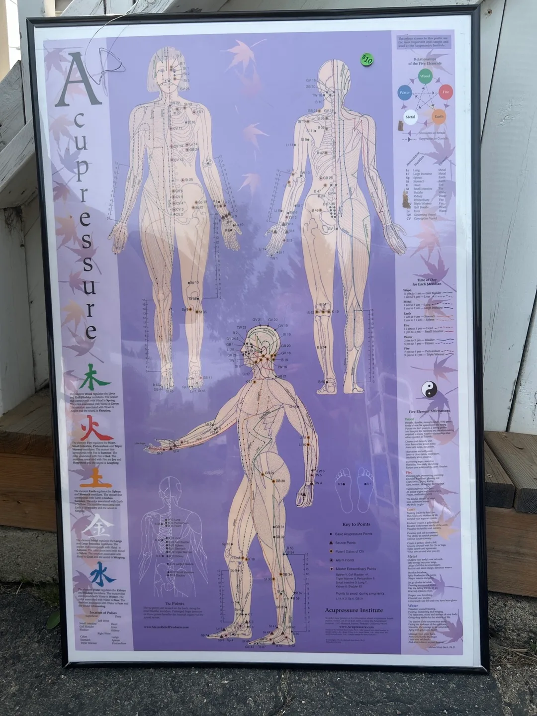 Acupressure Chart with Frame thumbnail