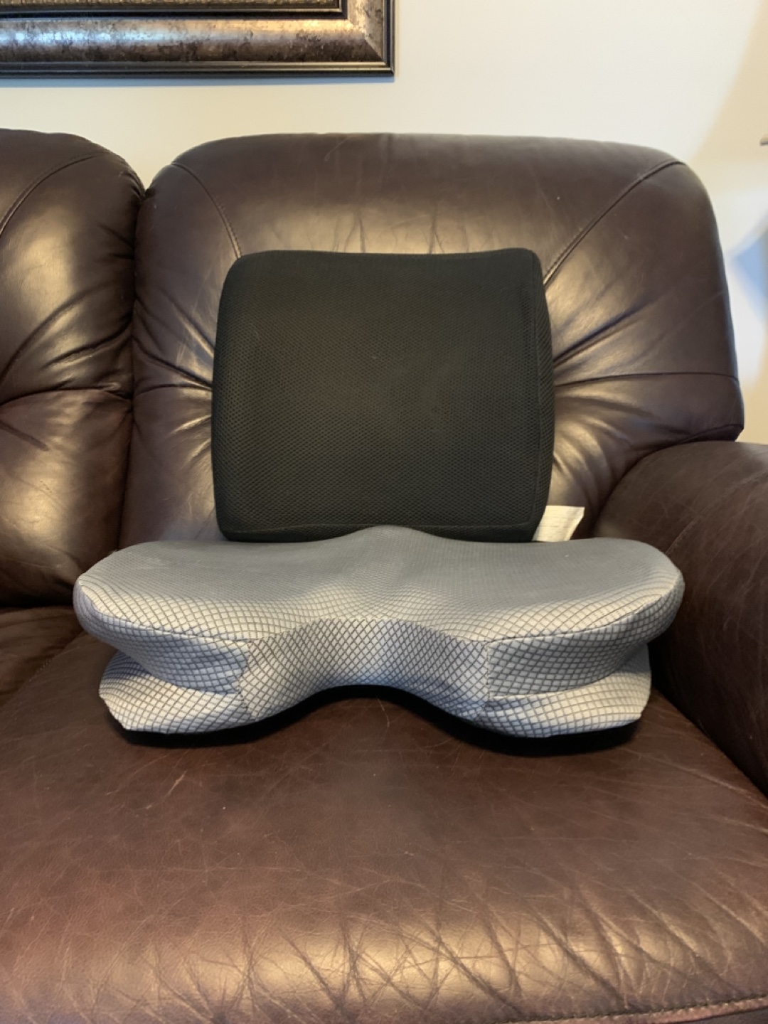 Ergonomic Seat Cushion & Back Support
