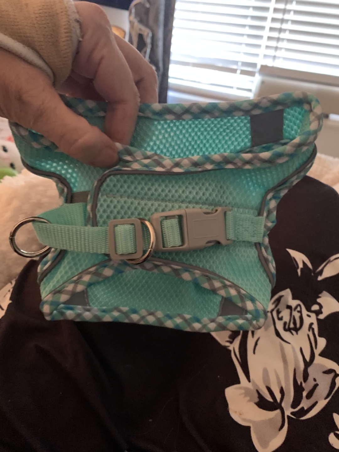 Pet Harness