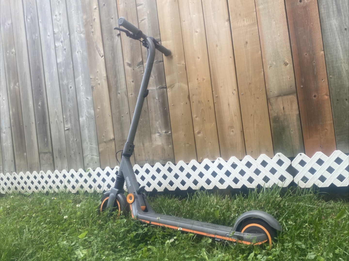 Ninebot Electric Scooter