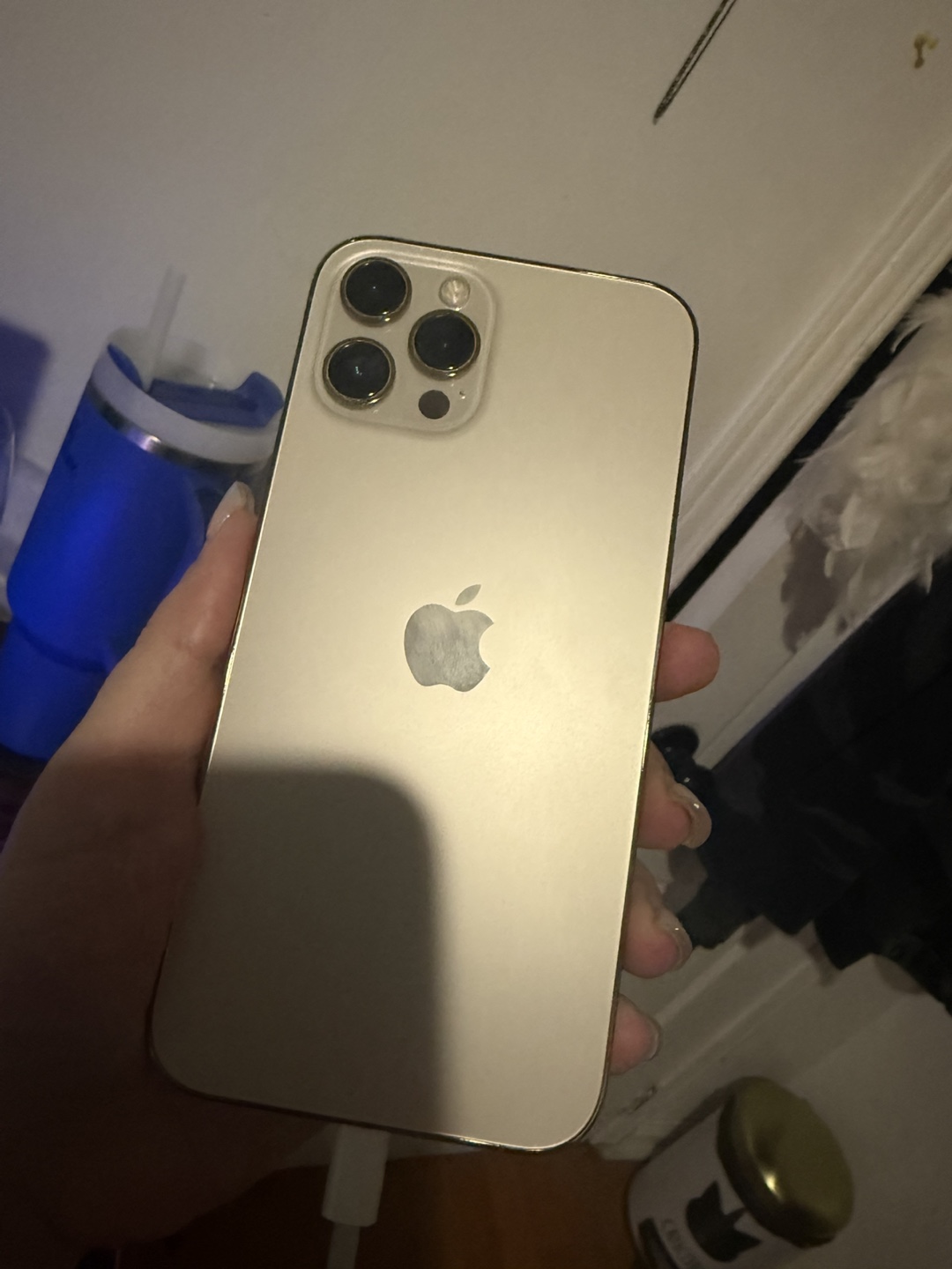 iPhone 12 Pro Max with cases - photo 2