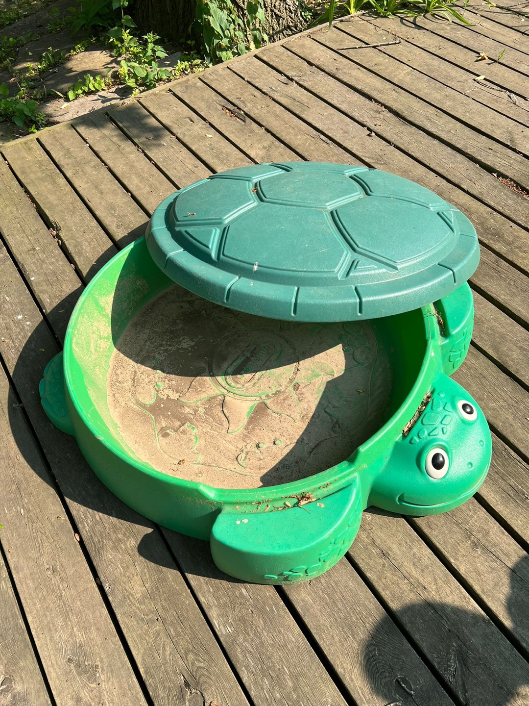 Green Turtle Sandbox