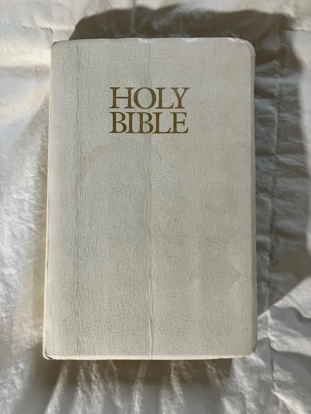 Holy Bible Book 📔 thumbnail