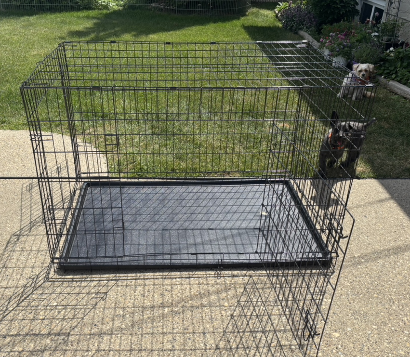 XXL Dog Crate - photo 3