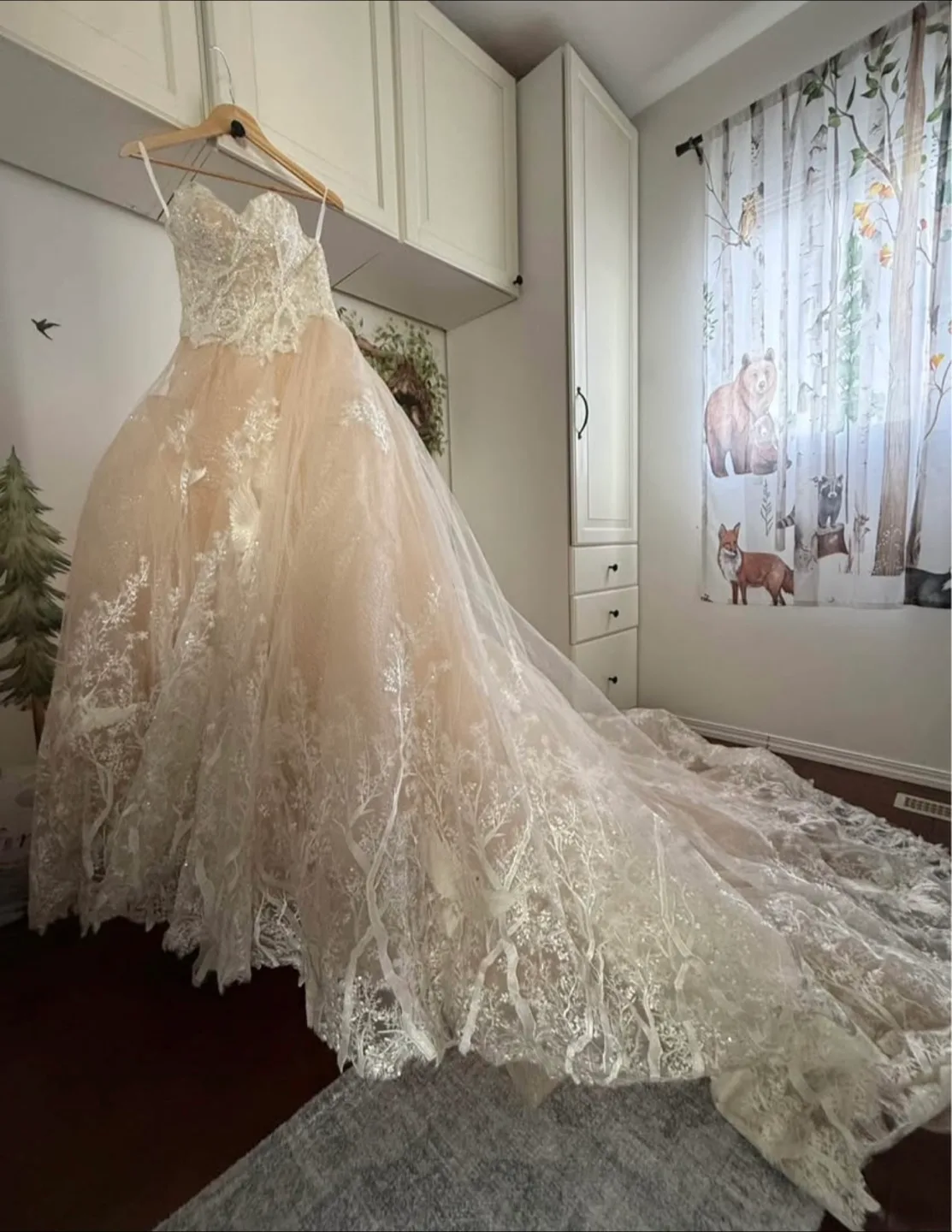 Wedding dress image indicator(7)