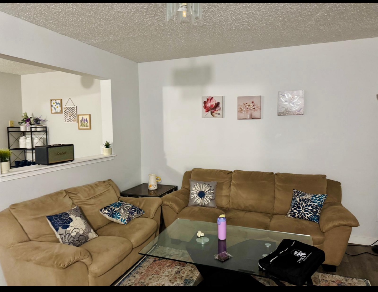 Stylish Couches and Coffee Table Set