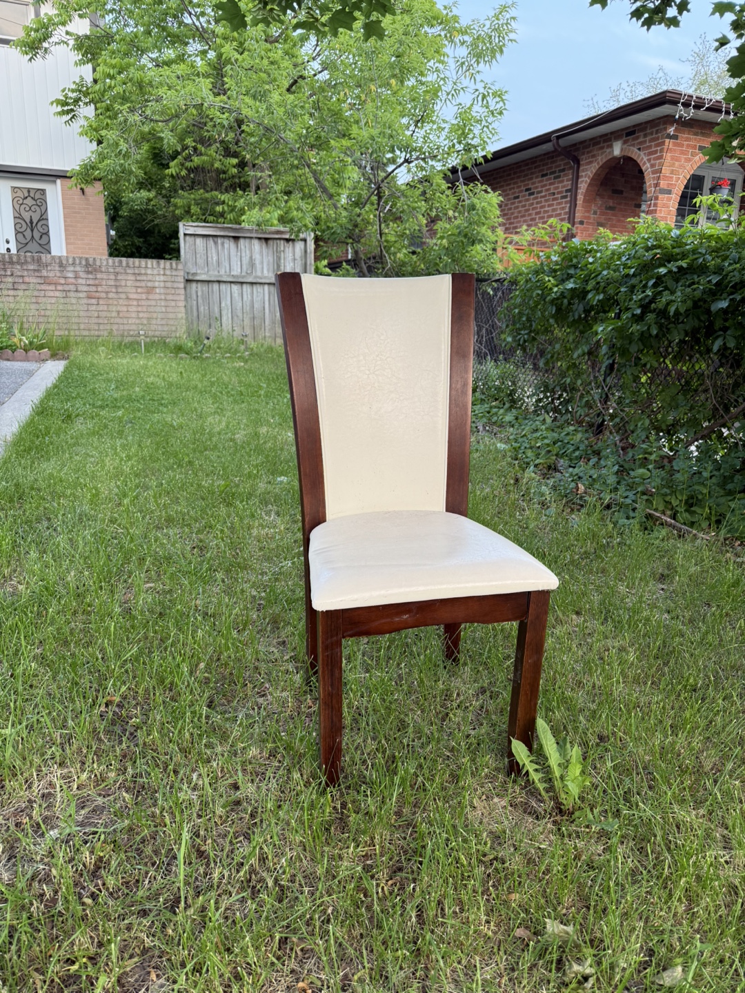 Set of Dining Chairs