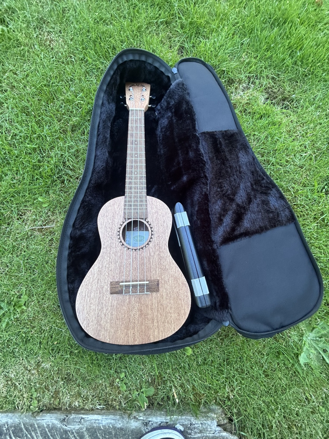 Profile Ukulele With Case