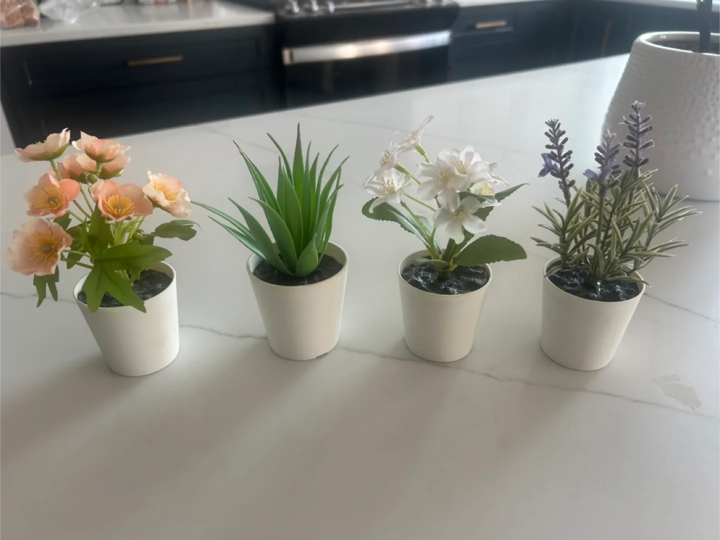 Set of 4 Decorative Potted Plants thumbnail