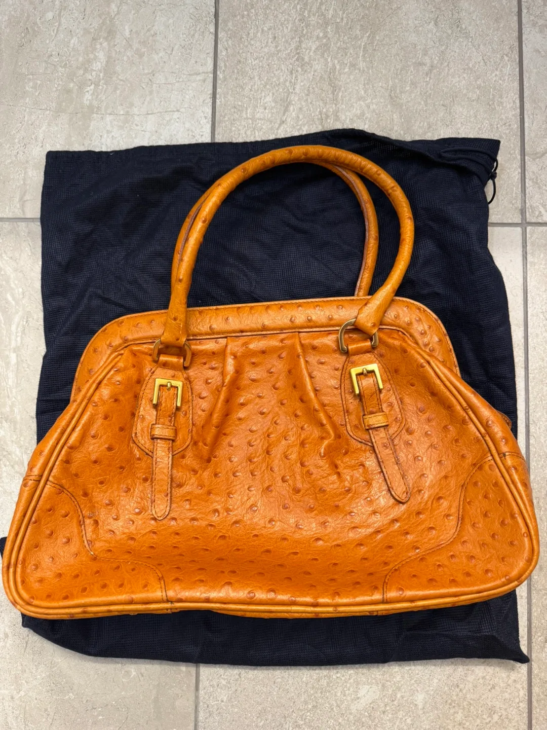 Francesco Rogani Italy Ostrich-Embossed Leather Purse Handbag image indicator(2)