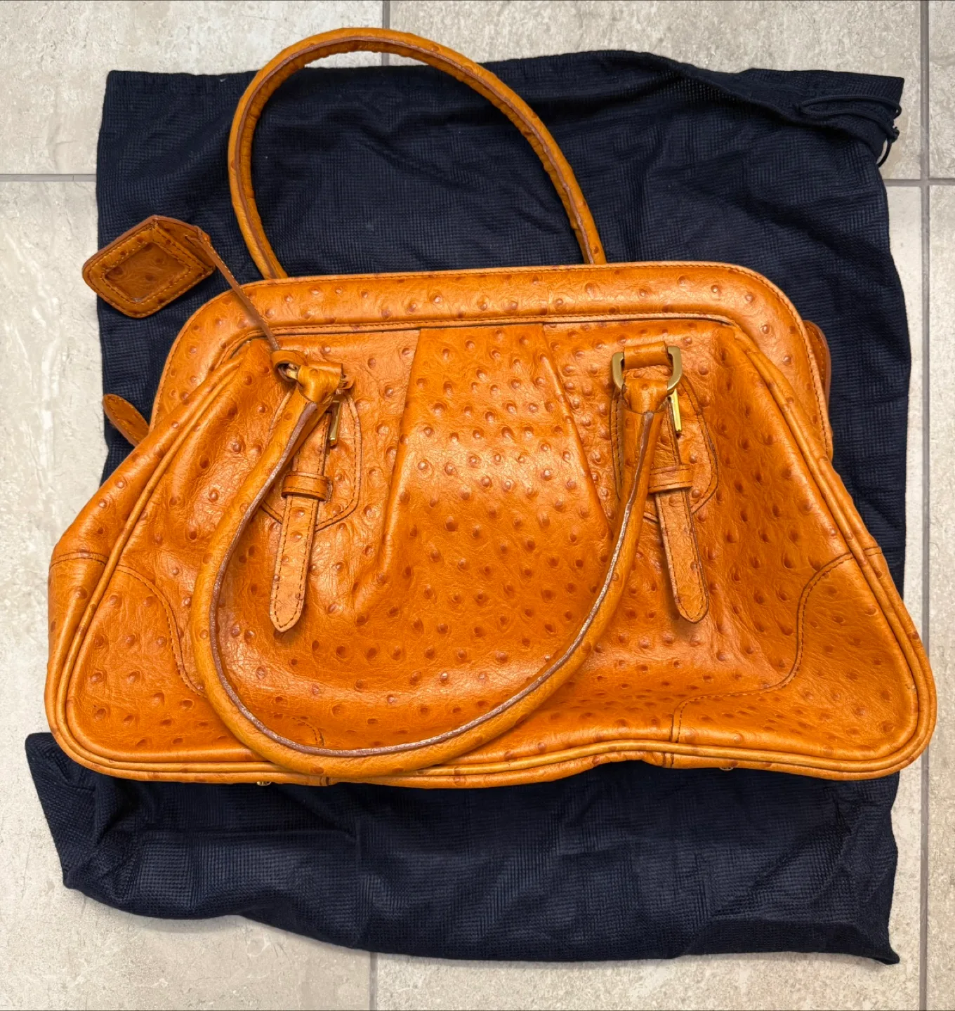 Francesco Rogani Italy Ostrich-Embossed Leather Purse Handbag image indicator(4)