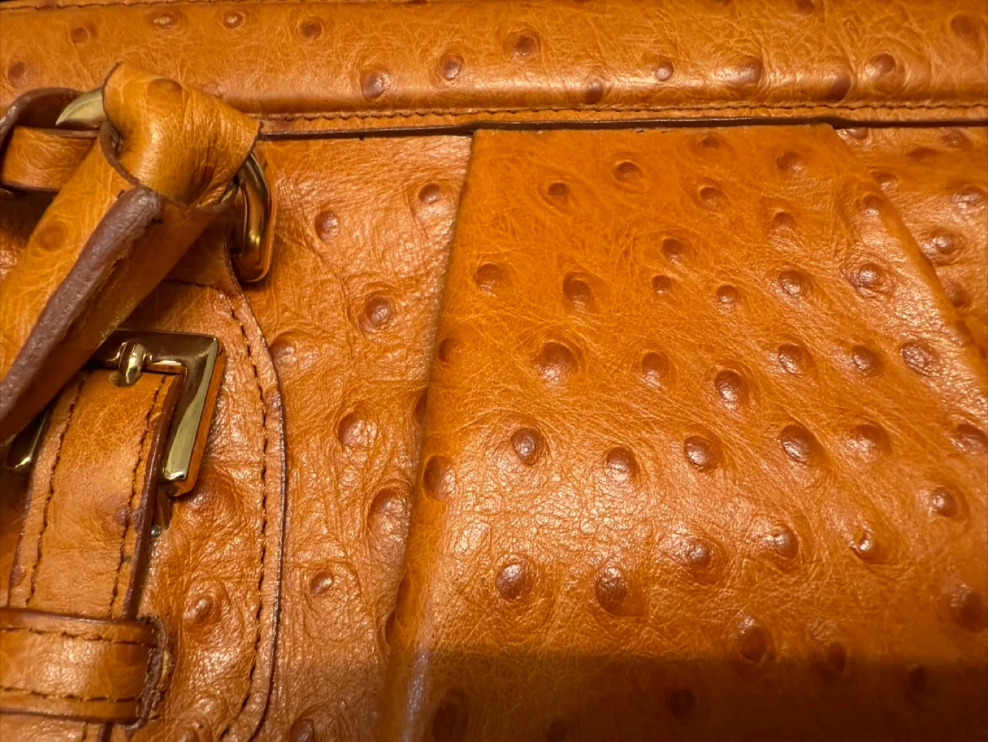 Francesco Rogani Italy Ostrich-Embossed Leather Purse Handbag image indicator(10)