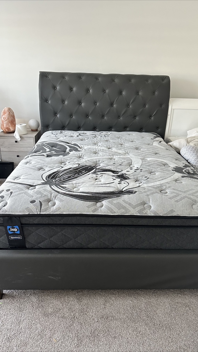 Queen Size Bed Frame and Mattress Set