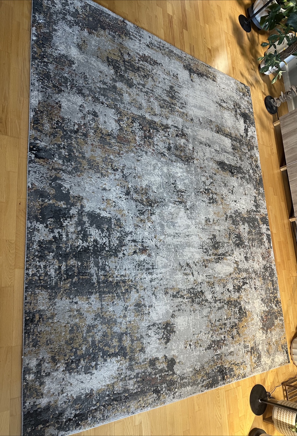 Area Rug - photo 2
