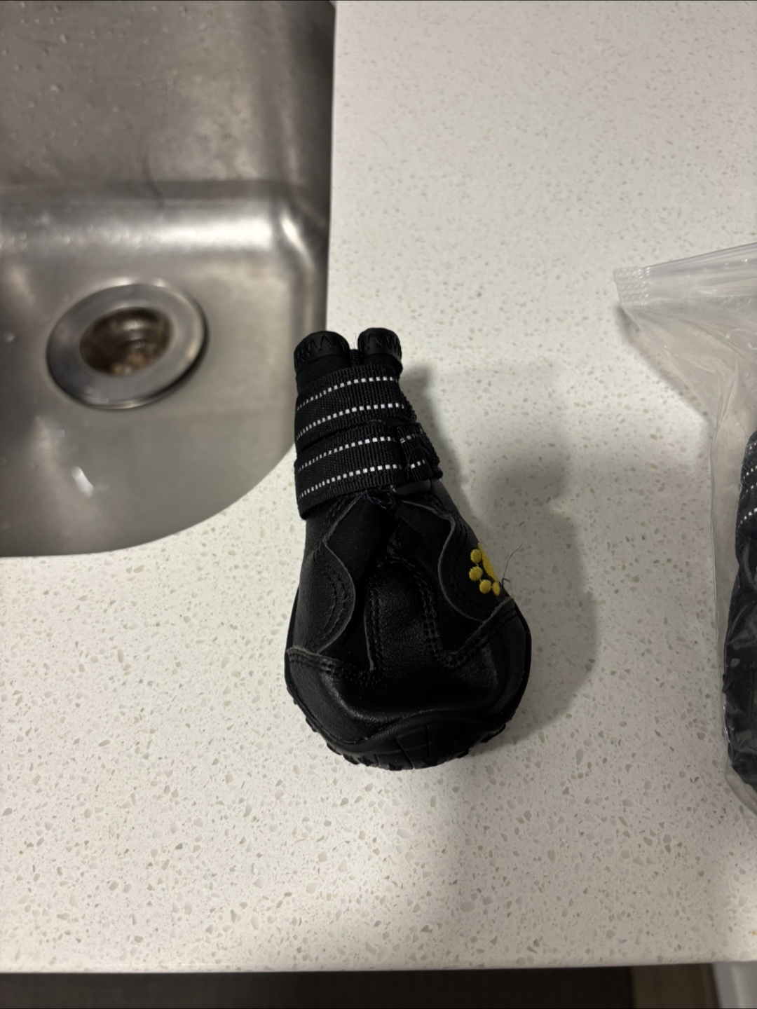 Dog Boots, Black