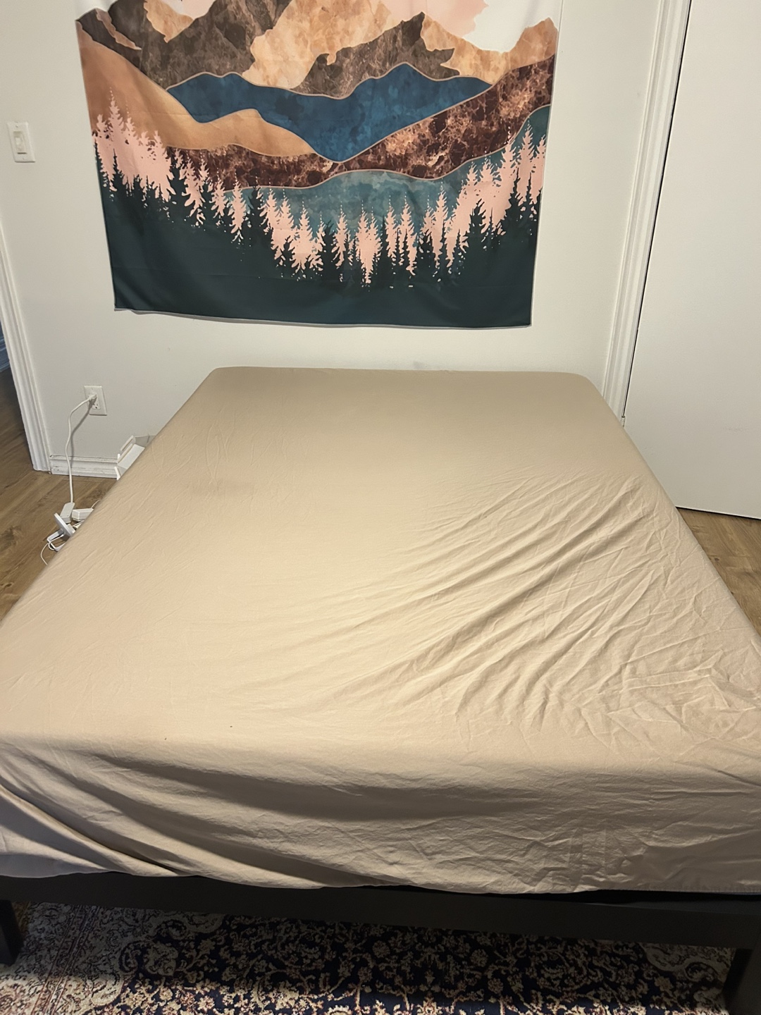 Full size Bed Frame and entry Mattress - photo 2
