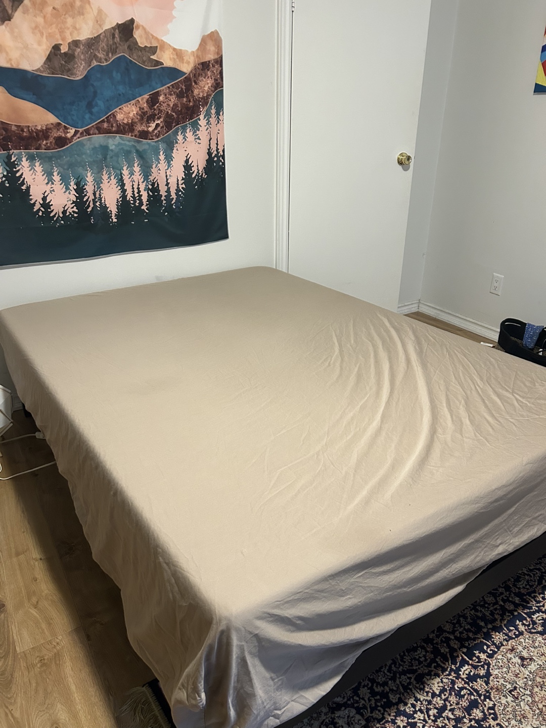 Full size Bed Frame and entry Mattress